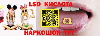 индика Долгопрудный
