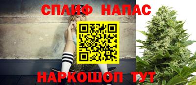 крисы Дмитров