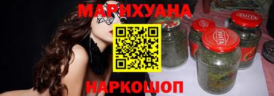 индика Долгопрудный