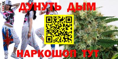 крисы Дмитров