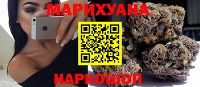 индика Долгопрудный