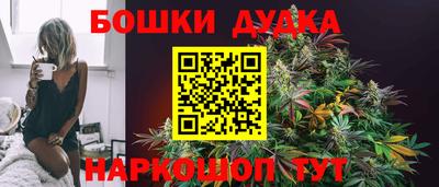 индика Долгопрудный