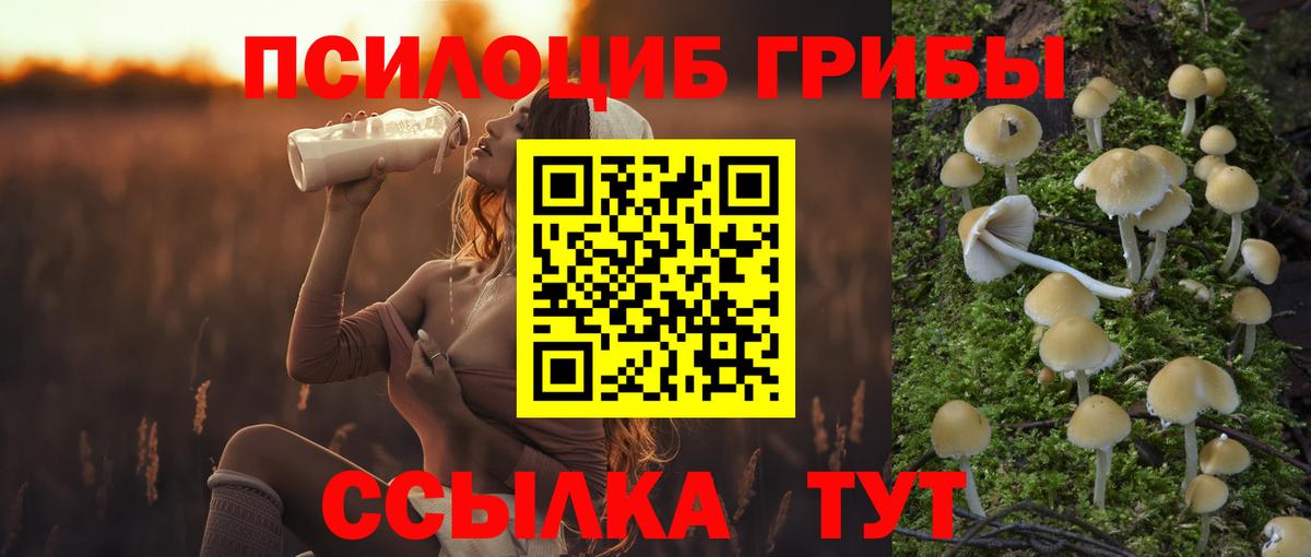 Бугуруслан  Псилоцибиновые грибы мухоморы  Вход с VPN  Галлюциногенные грибы Cubensis 